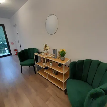 Pensiunea Turc Guest house Viseu de Jos