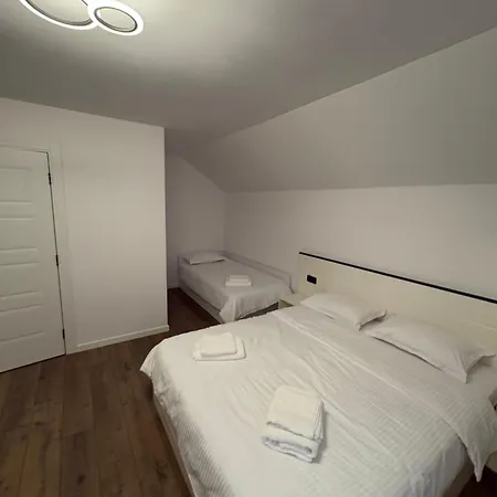 Pensiunea Turc Guest house *