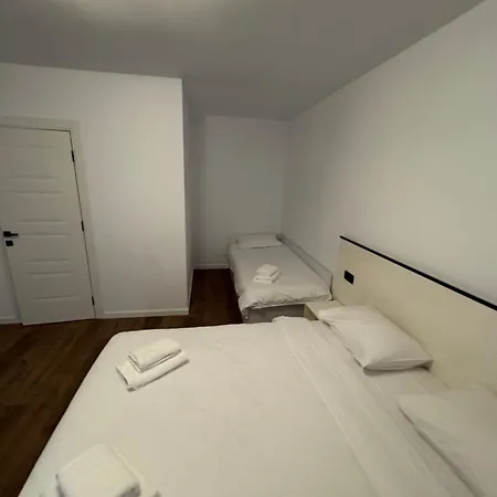 Guest house Pensiunea Turc *