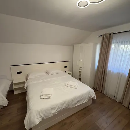 Guest house Pensiunea Turc Viseu de Jos