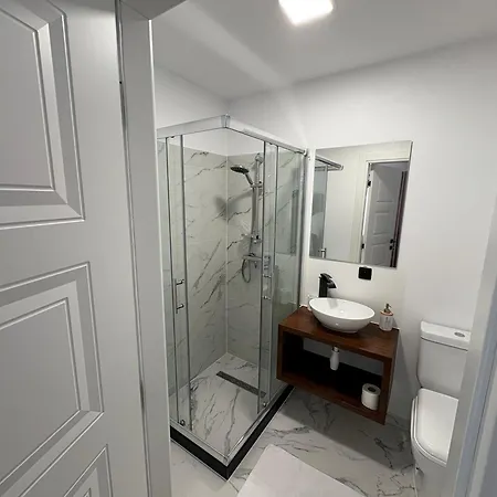 Guest house Pensiunea Turc Viseu de Jos
